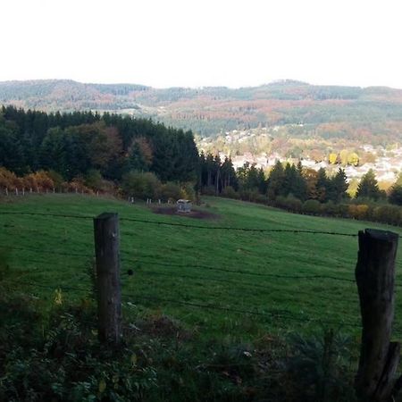 Maison Independ. 6 Personnes A 10 Mn De Gerardmer Granges-sur-Vologne Exterior foto