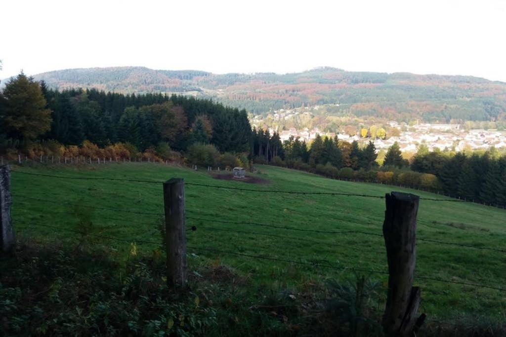 Maison Independ. 6 Personnes A 10 Mn De Gerardmer Granges-sur-Vologne Exterior foto