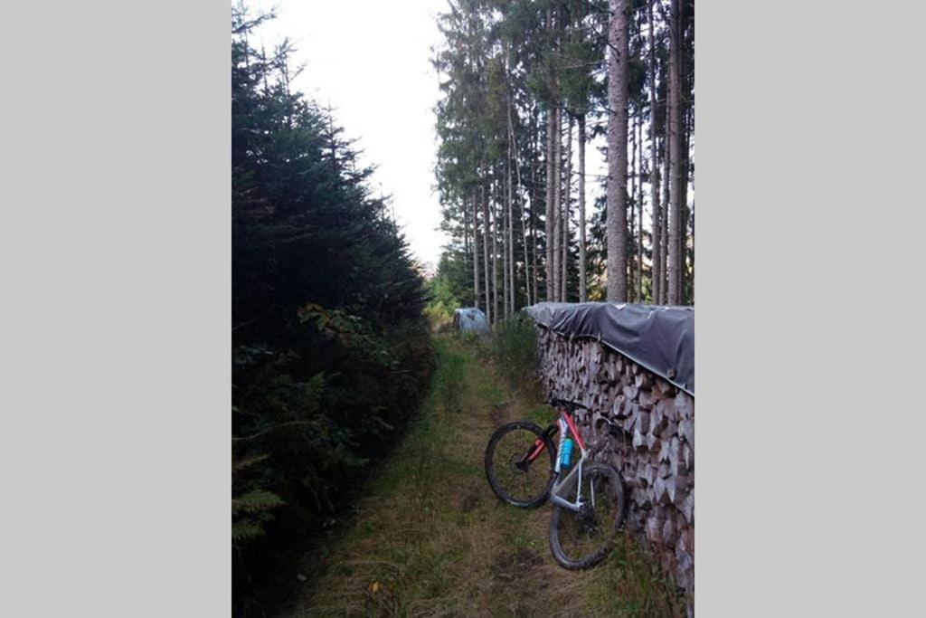 Maison Independ. 6 Personnes A 10 Mn De Gerardmer Granges-sur-Vologne Exterior foto